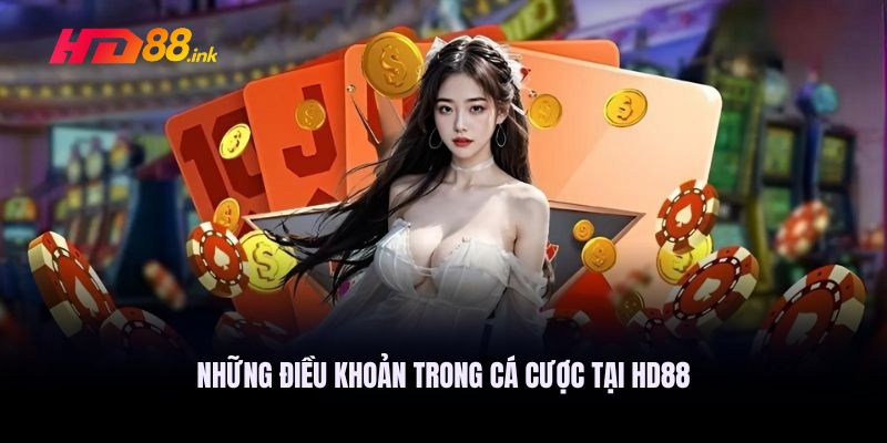 Điều khoản & điều kiện