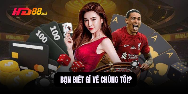 Về chúng tôi