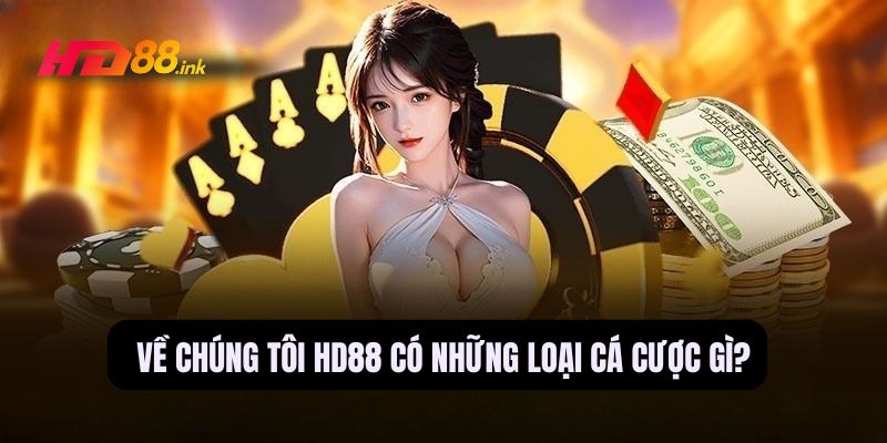 Về chúng tôi